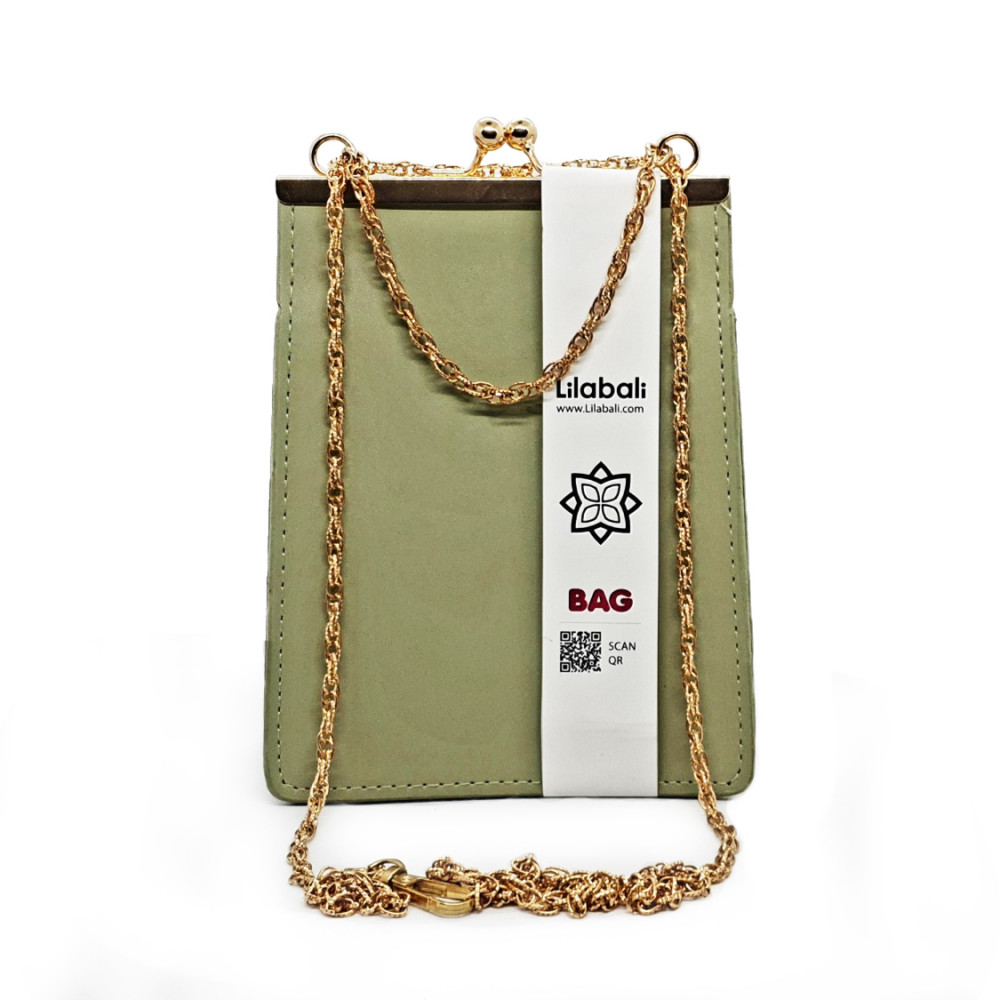 Small Chain Purse Ladies Hasp Day Clutches