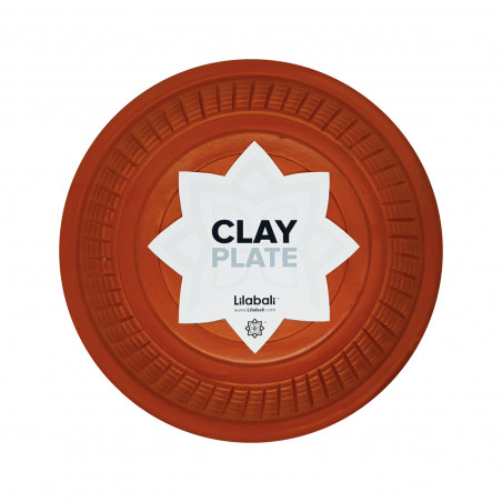 Clay Plate 1