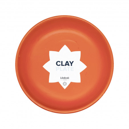 Clay Plate 2